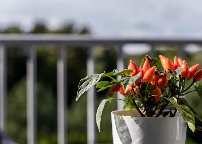 By The Sea With Underground Parking * Palanga